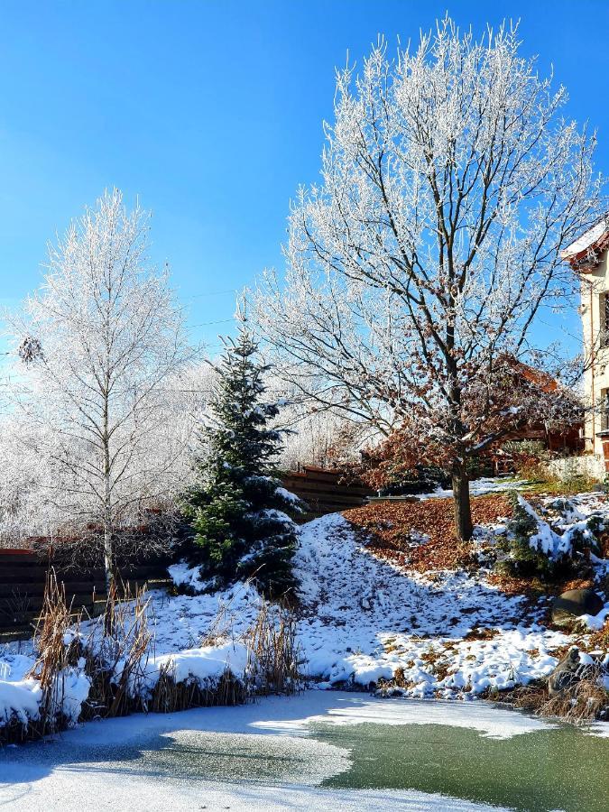 Trovanti Apartment Feleacu Экстерьер фото